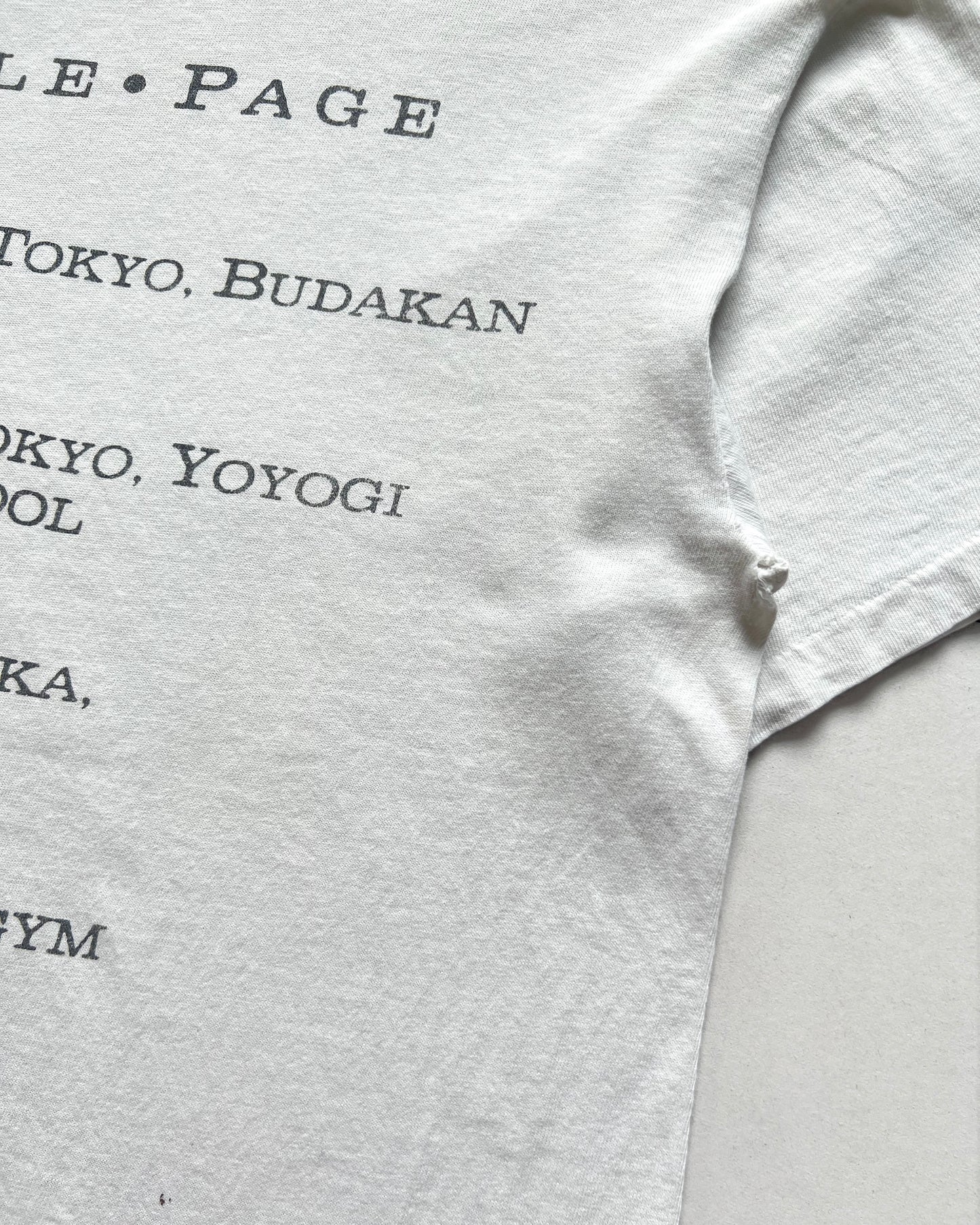 1993 COVERDALE/PAGE JAPAN TOUR BROCKUM TEE (L)