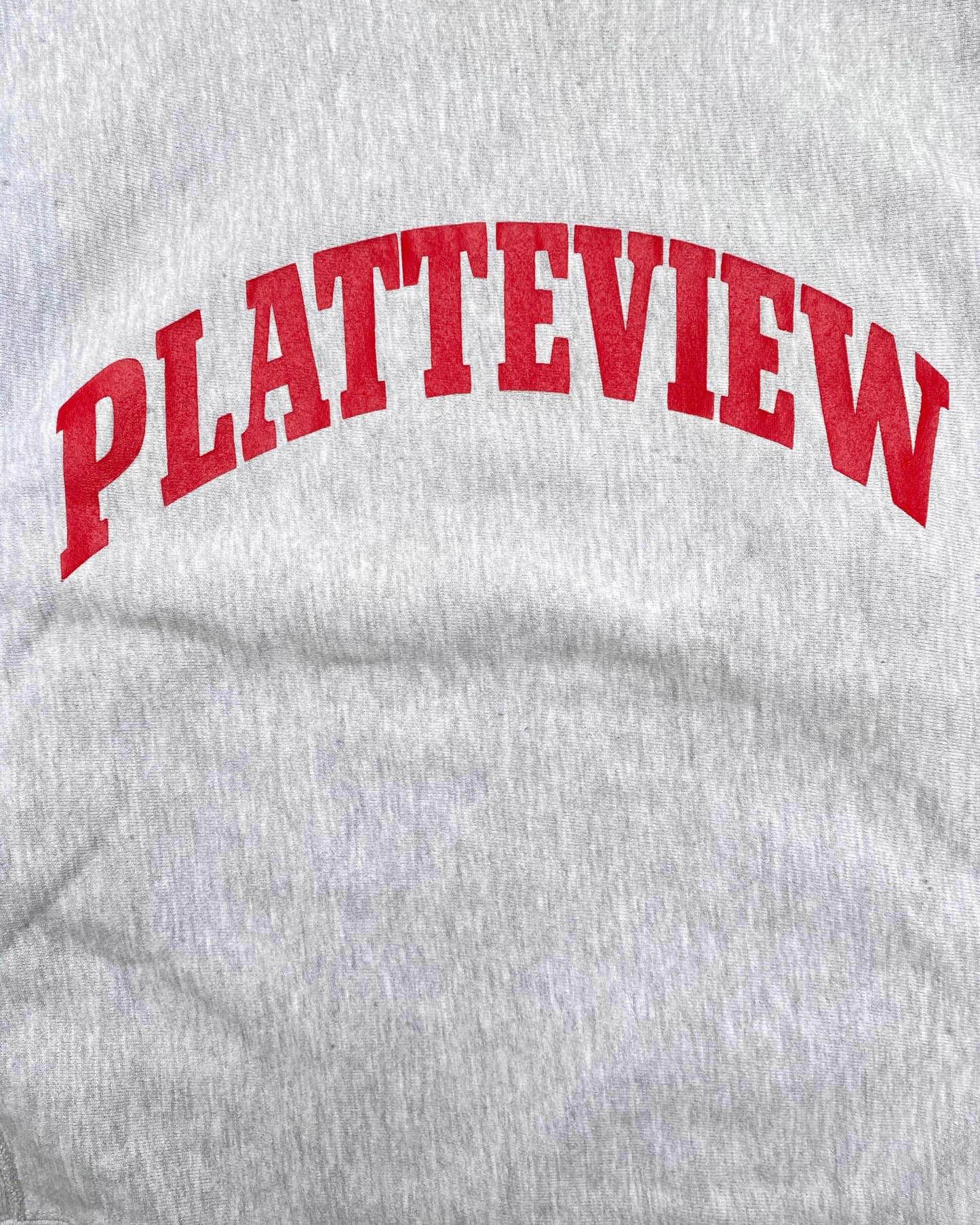 1990S ‘PATTEVIEW’ CHAMPION REVERSE WEAVE SWEATSHIRT (L)