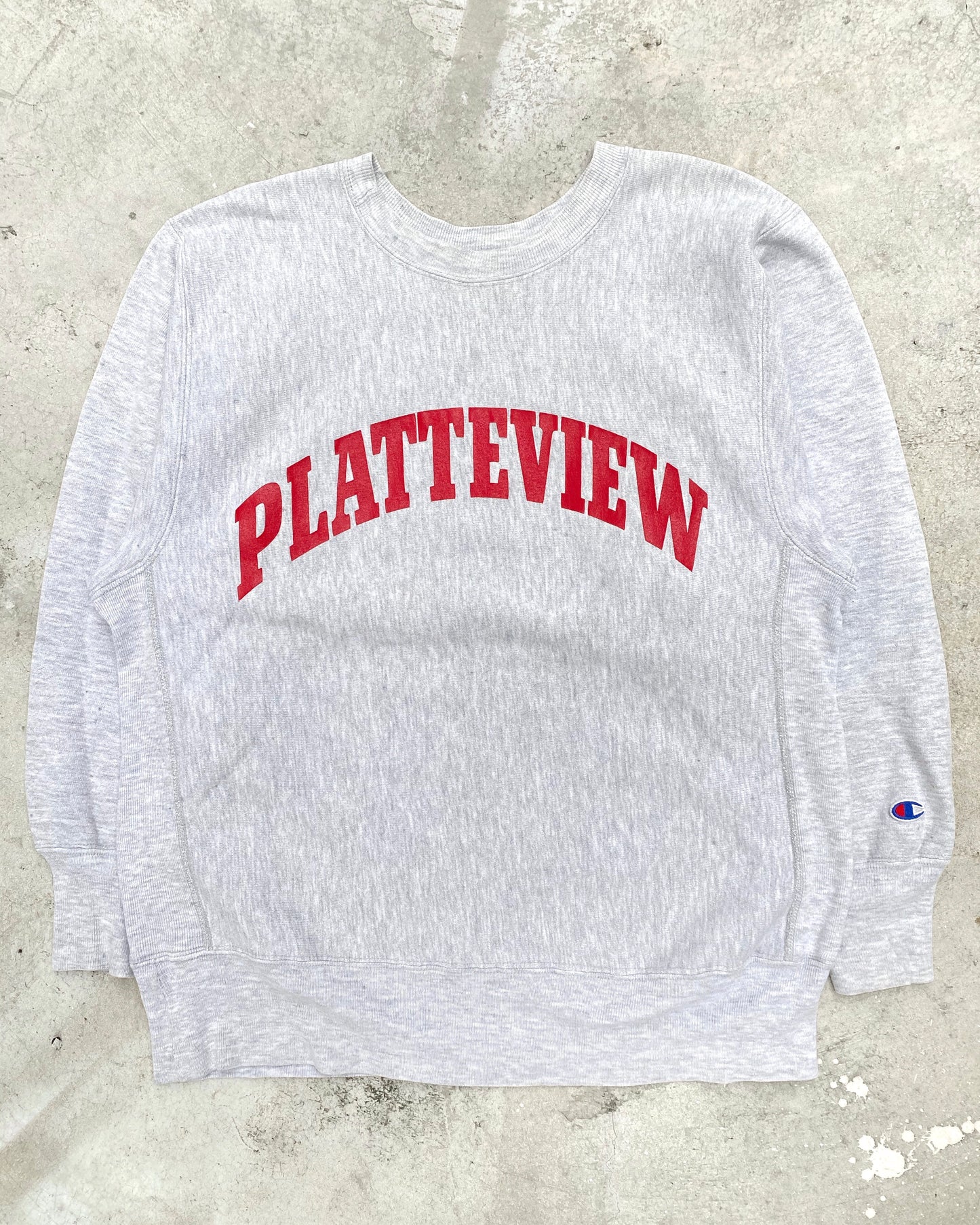 1990S ‘PATTEVIEW’ CHAMPION REVERSE WEAVE SWEATSHIRT (L)
