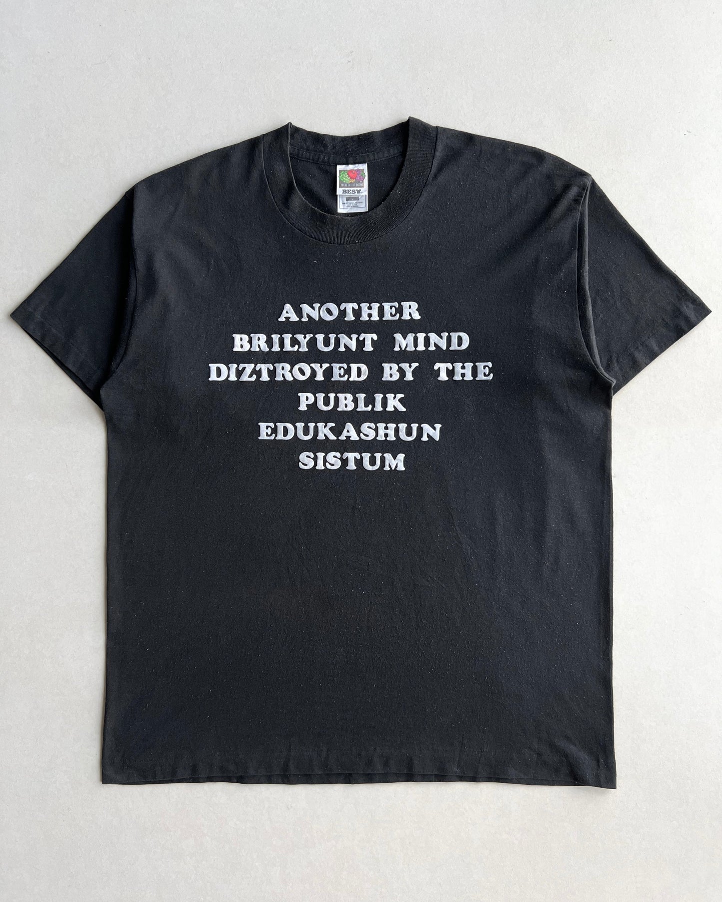 1990S 'DESTROYED PUBLIC EDUCATION SYSTEM' SINGLE STITCH TEE (L)