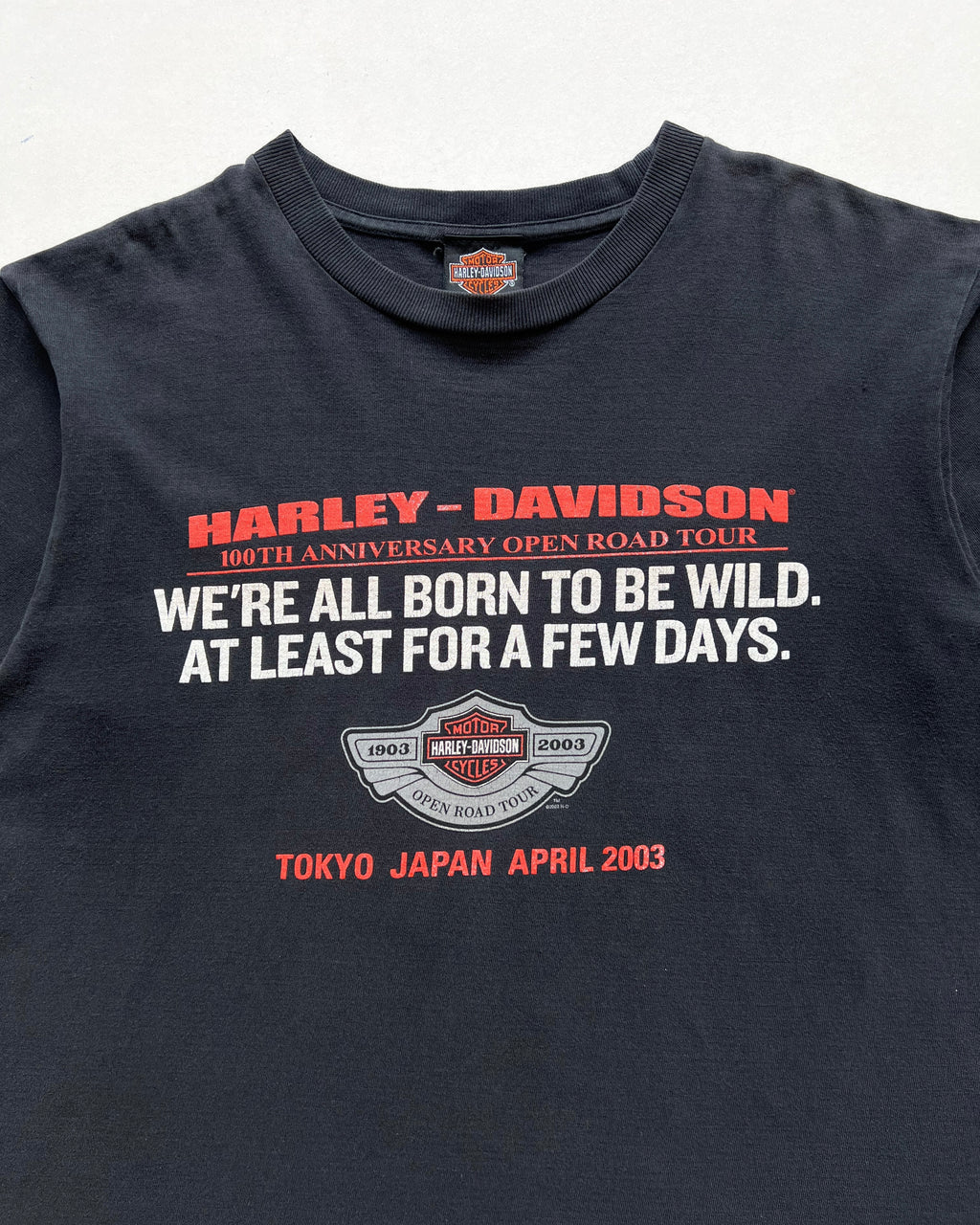 2000S HARLEY DAVIDSON 100TH ANNIVERSARY OPEN ROAD TEE (M)