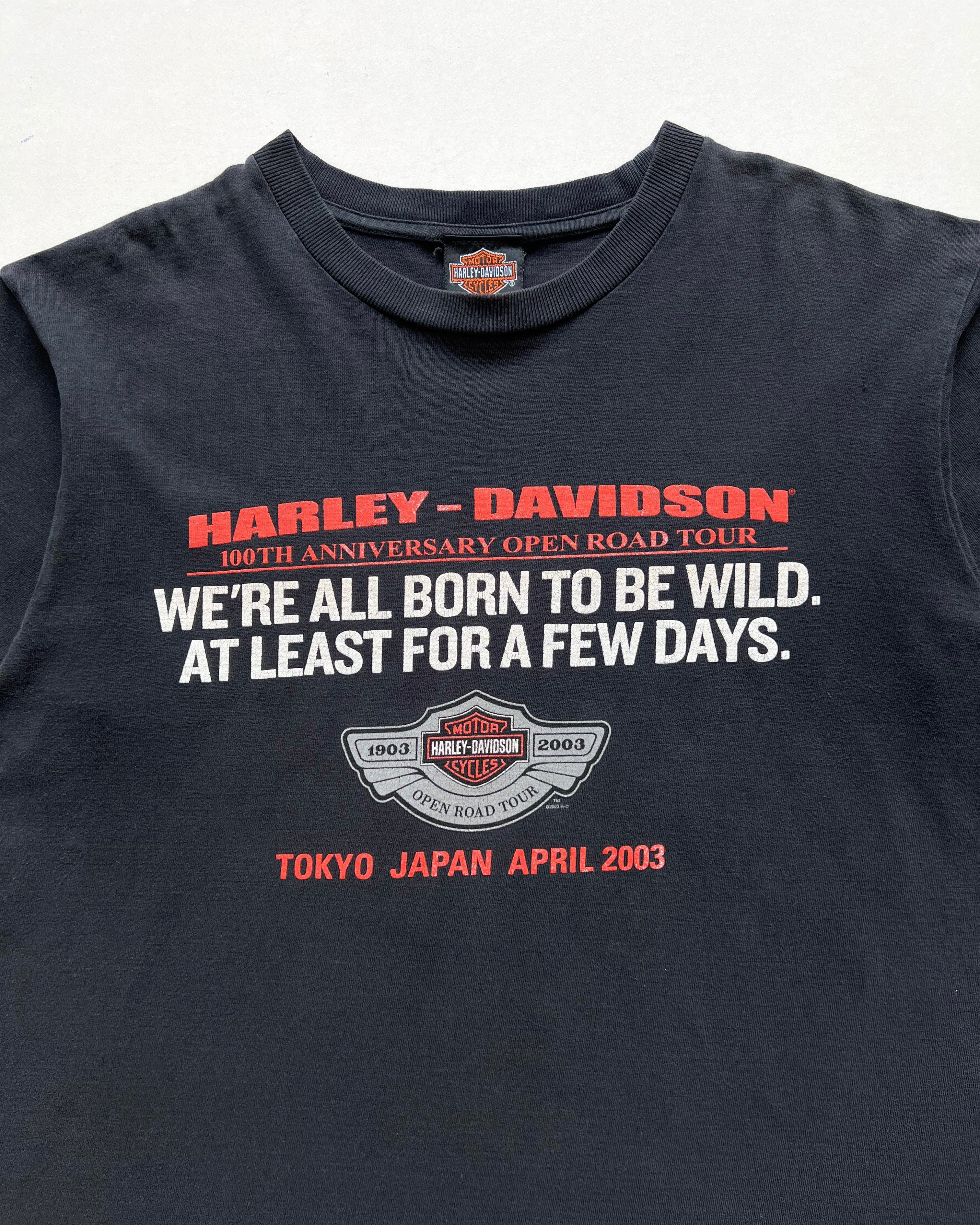 2000S HARLEY DAVIDSON 100TH ANNIVERSARY OPEN ROAD TEE (M)