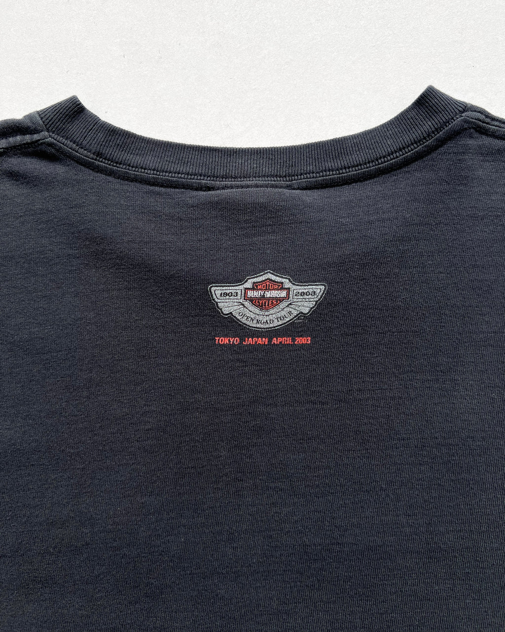 2000S HARLEY DAVIDSON 100TH ANNIVERSARY OPEN ROAD TEE (M)