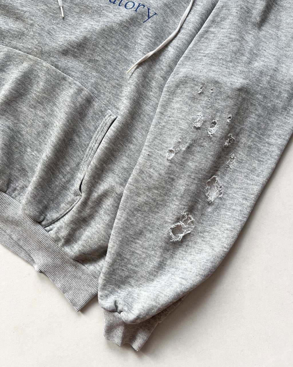 1980S HANES 'NATURAL SHAKESPEARE CONSERVATORY' HOODIE (XL)