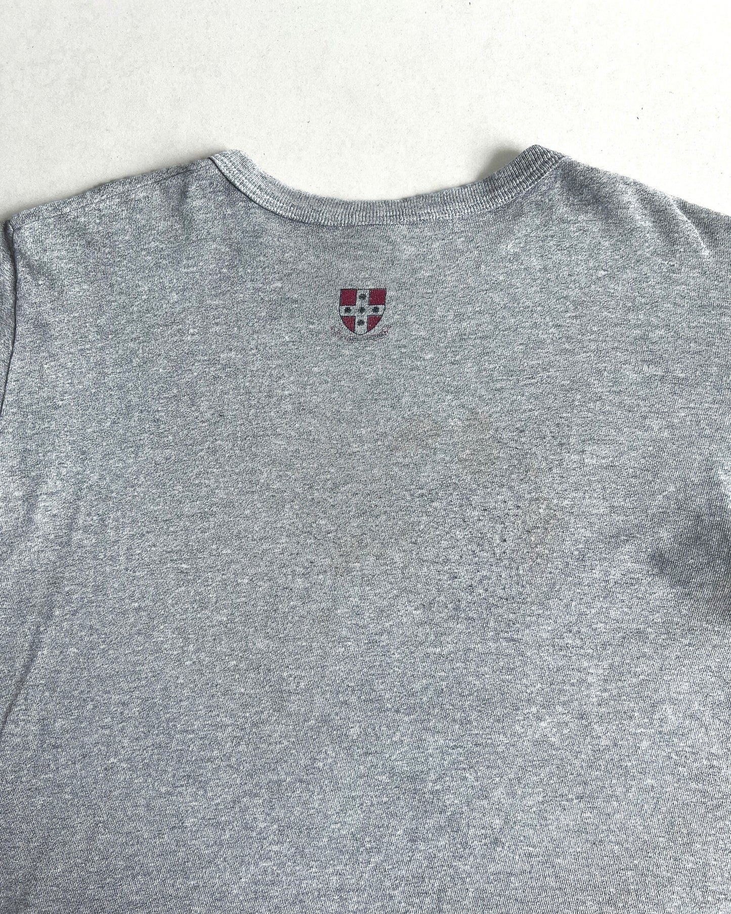 1990S CHAMPION 'UNIVERSITY WESLEYAN' TEE (L)