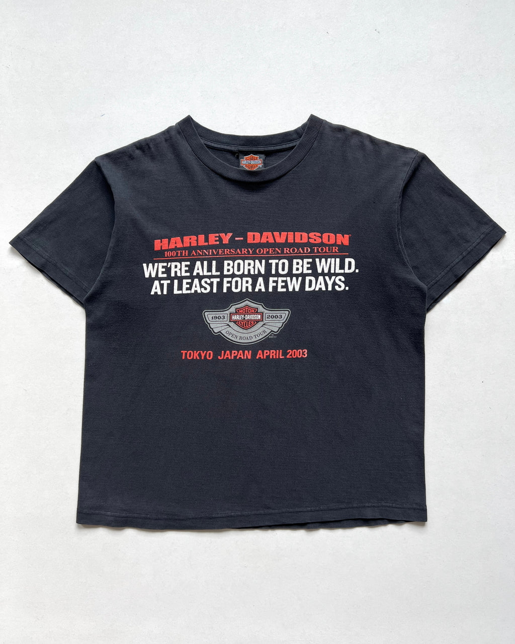 2000S HARLEY DAVIDSON 100TH ANNIVERSARY OPEN ROAD TEE (M)