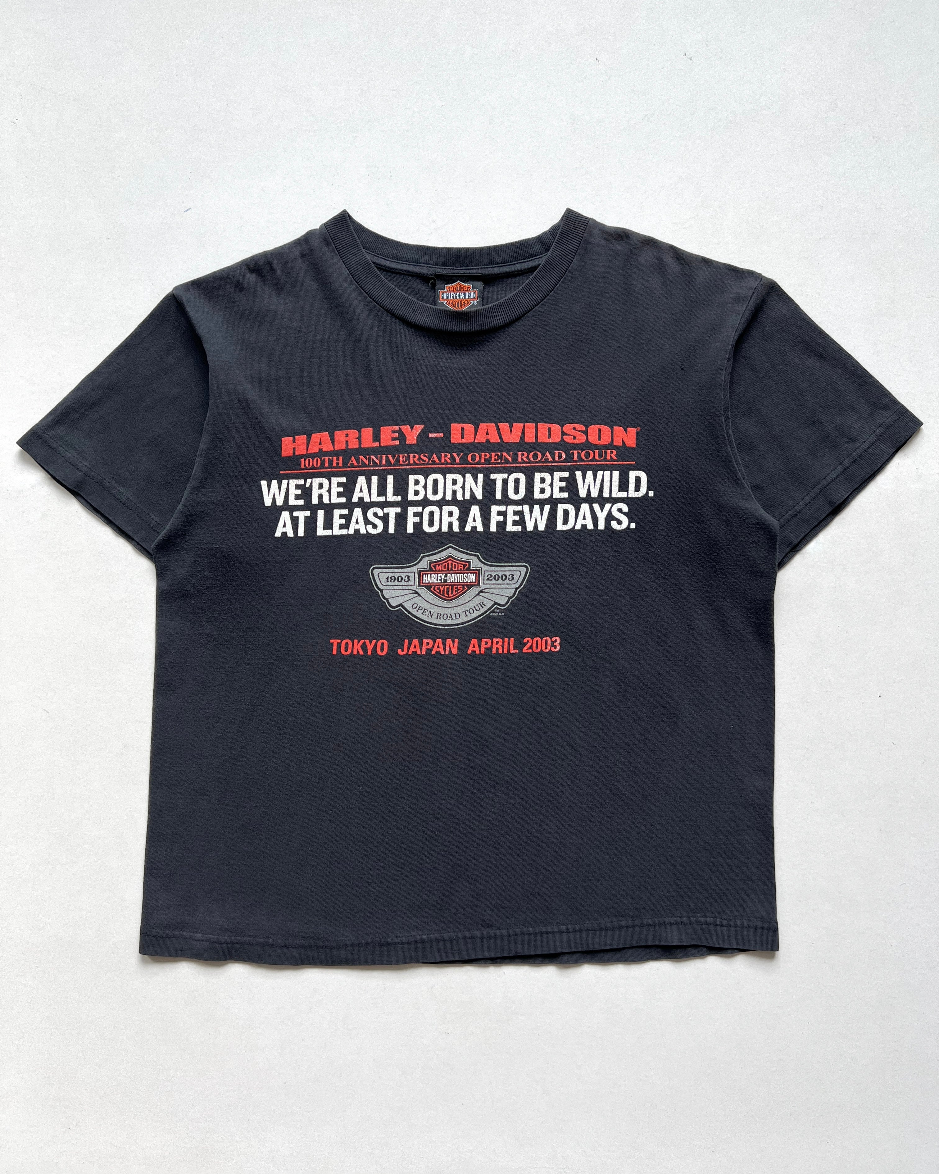 2000S HARLEY DAVIDSON 100TH ANNIVERSARY OPEN ROAD TEE (M)