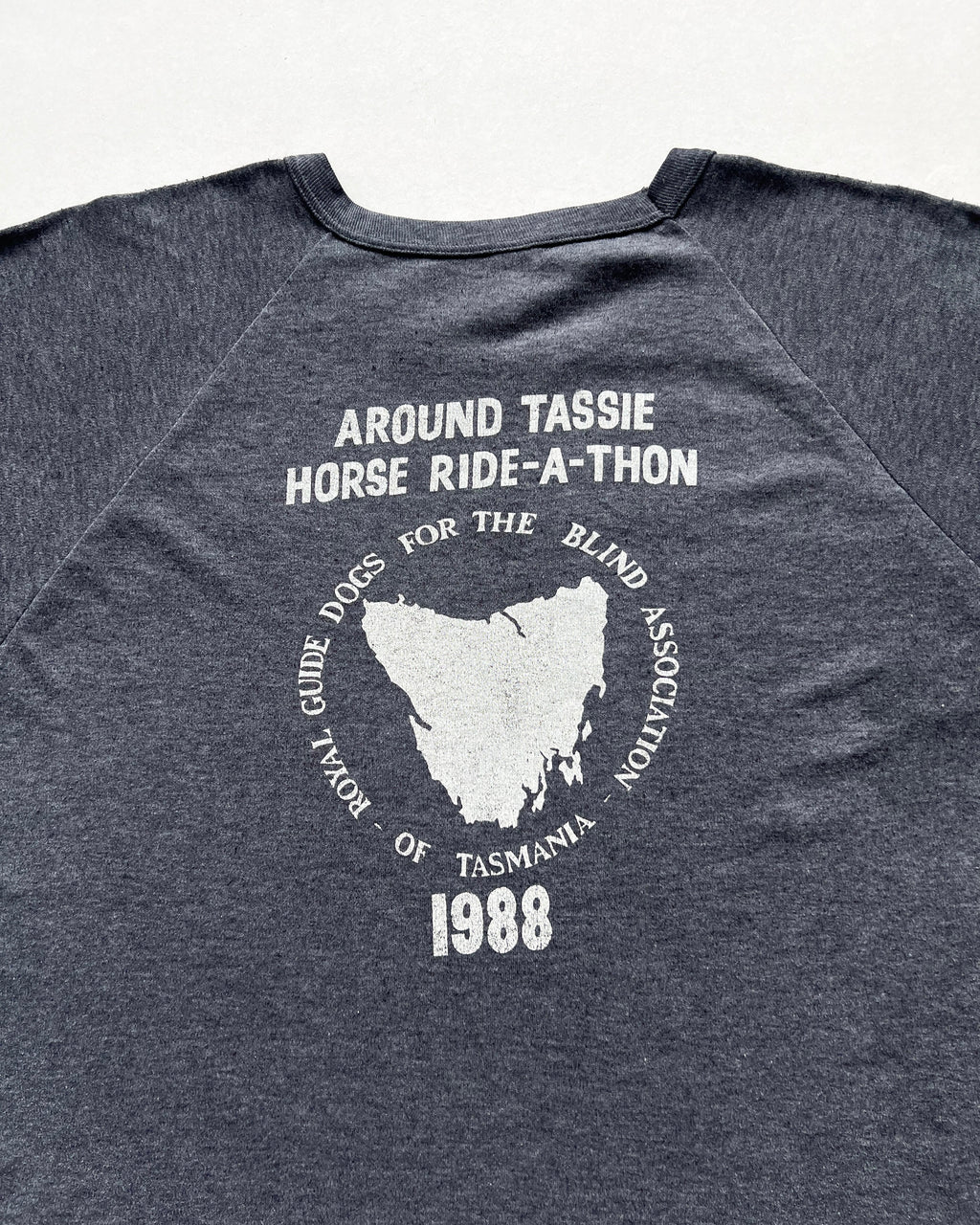 1980S 'GUIDE DOGS ASSOCIATION' RAGLAN RINGER TEE (L)