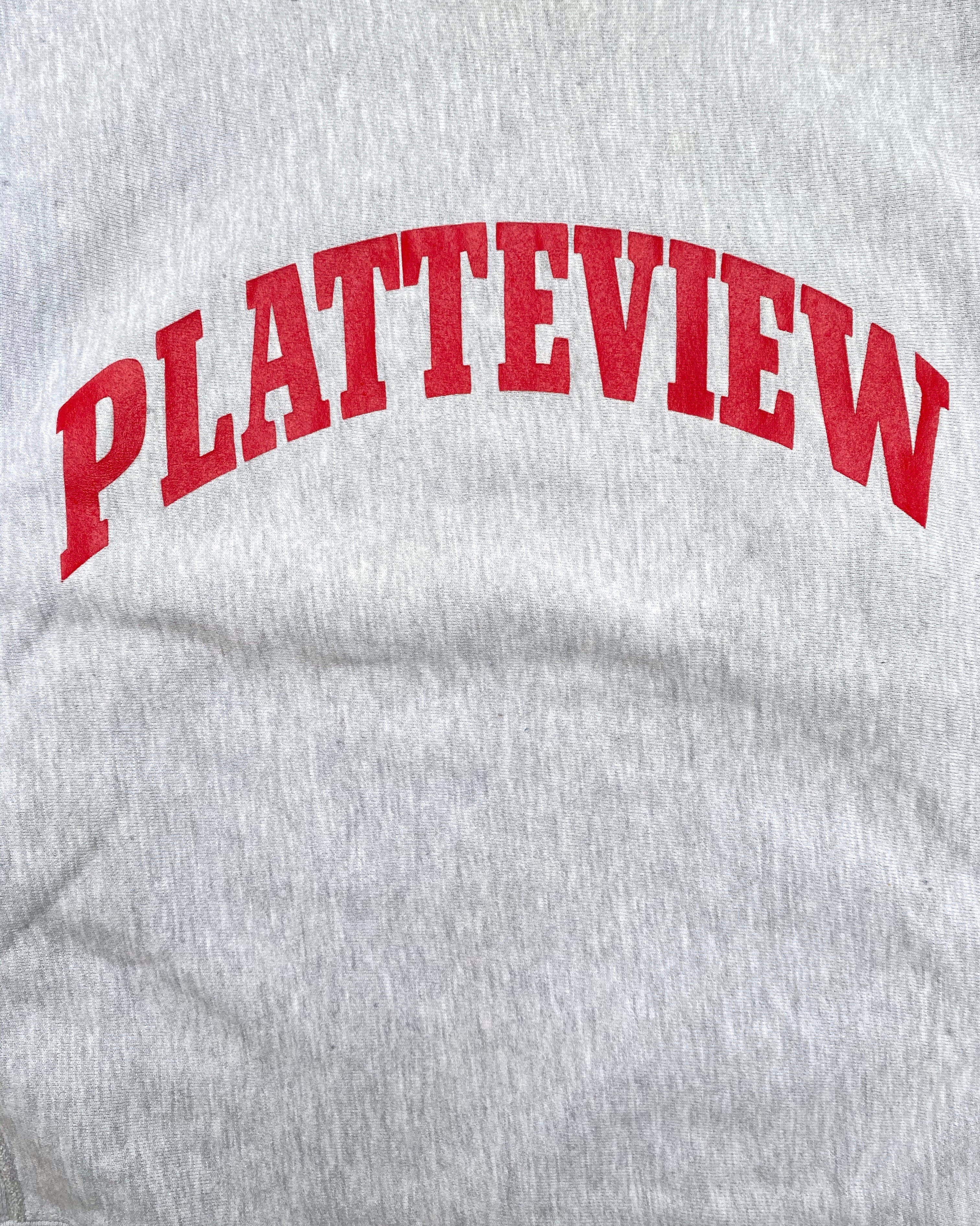 1990S ‘PATTEVIEW’ CHAMPION REVERSE WEAVE SWEATSHIRT (L)